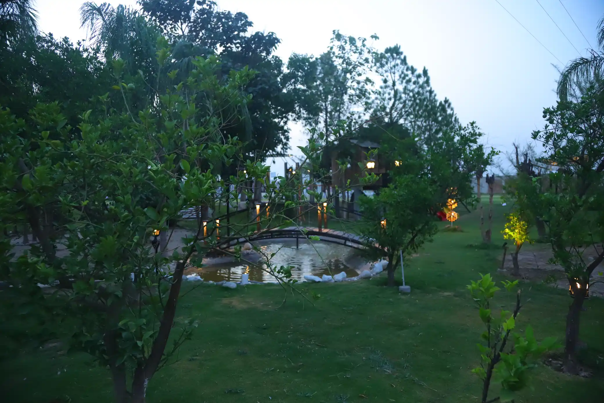 Garden bridge and walkway lights at Green Meadows Farm