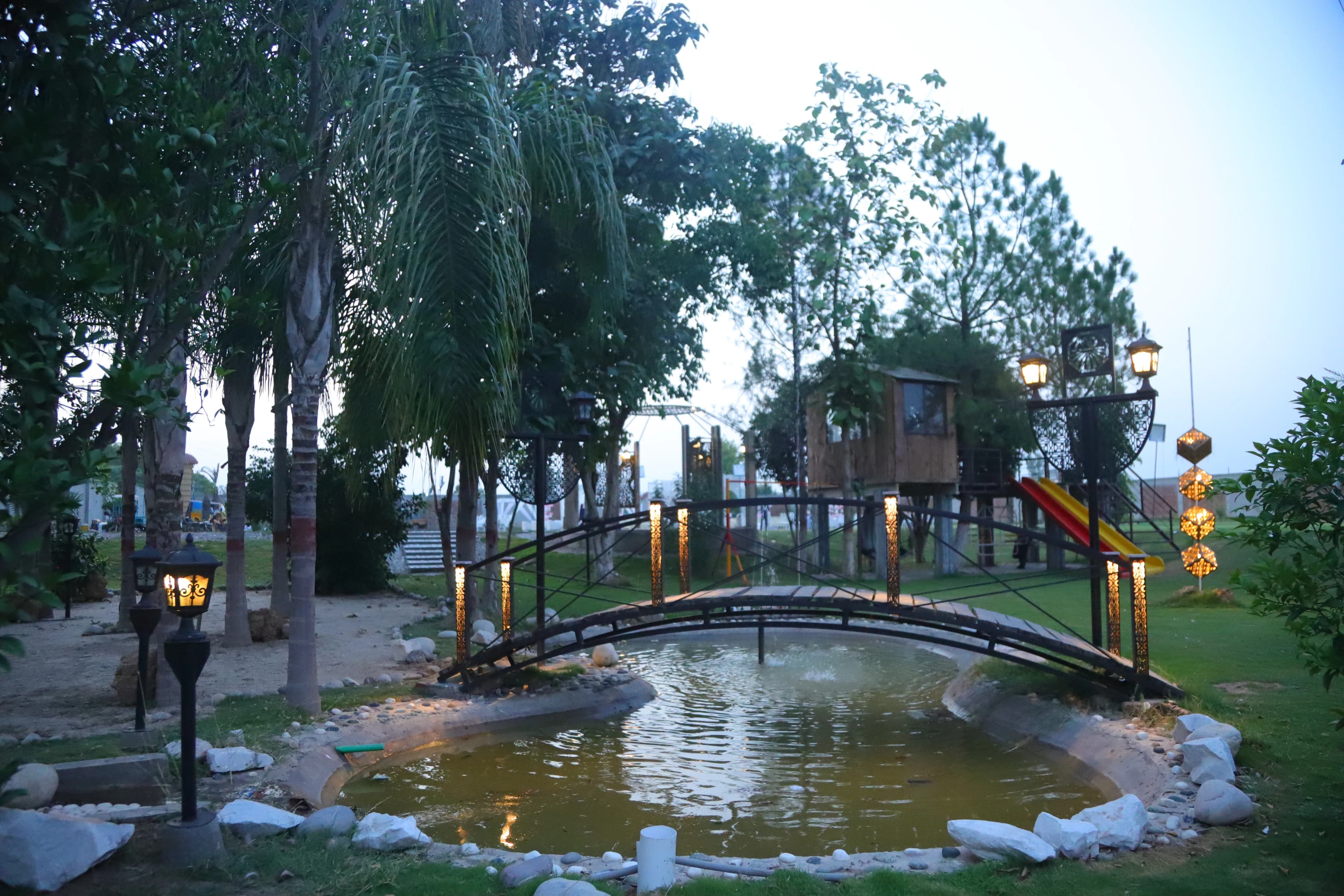 Palm-lined bridge scene photographed during blue hour at the farmhouse
